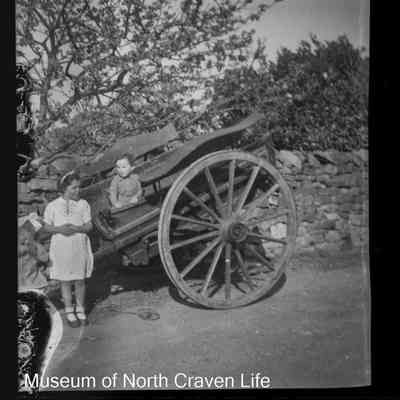 negative, sheet film - Two-wheeled carriage