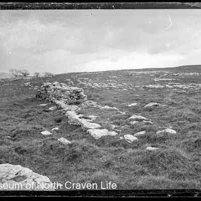 negative, glass plate - "Celtic Wall", Feizor