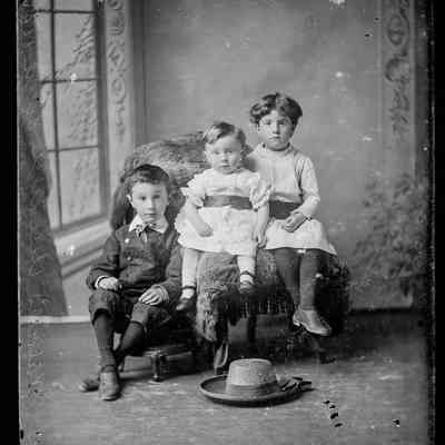 negative, glass plate - Portrait : Walker children, Settle, 1875