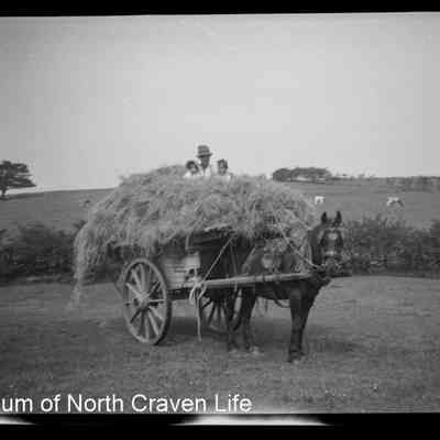 negative, sheet film - Haycart