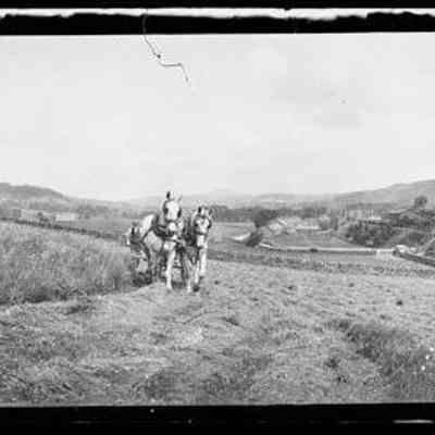 negative, sheet film - Giggleswick (Horses and Mower)
