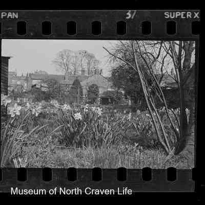 negative, sheet film - Rose Cottage, Giggleswick