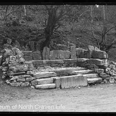negative, glass plate - Ebbing and Flowing Well
