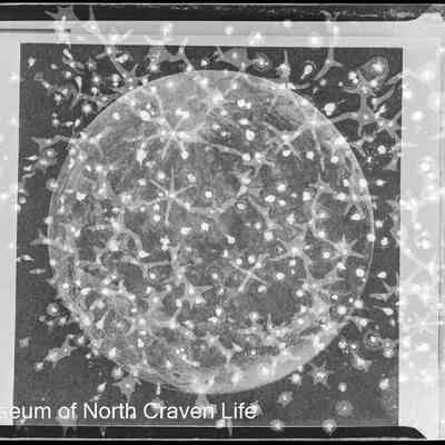 negative, sheet film - Photo of newspaper/journal article on the moon