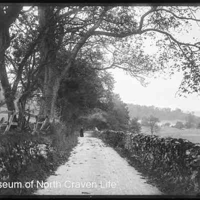 negative, glass plate - Stack House Lane