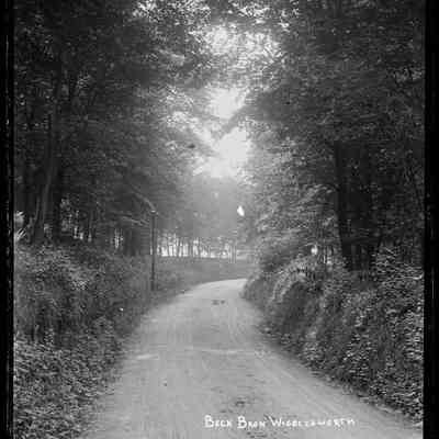 negative, glass plate - Beck's Brow