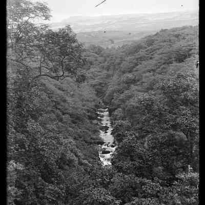 negative, glass plate - River View