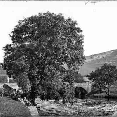 negative, glass plate - River Ribble in Settle