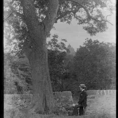 negative, glass plate - Giggleswick School Chapel, Boy and Tree 1 of 2