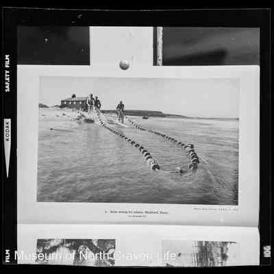 negative, sheet film - Lancashire River Authority - Boats and Locks (1 of 5)