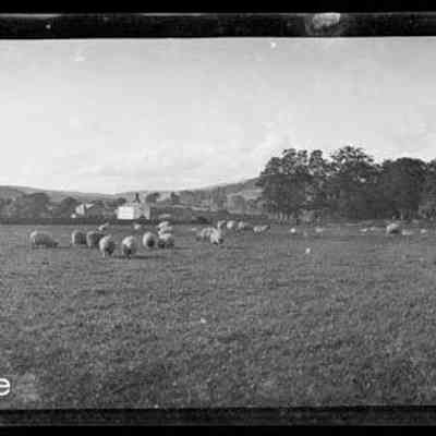 negative, sheet film - Rural view : Paper Mill in background