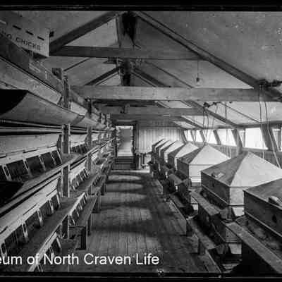 negative, sheet film - Farming EQ 1946 (Electrical Co) 3 of 5
