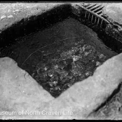 negative, glass plate - Ebbing and Flowing Well