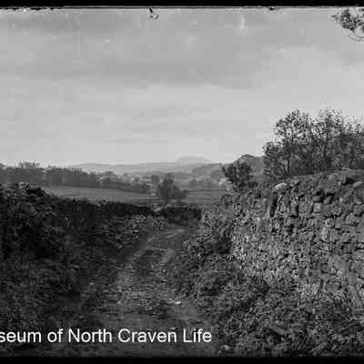 negative, glass plate - Settle Farm South 2 of 2