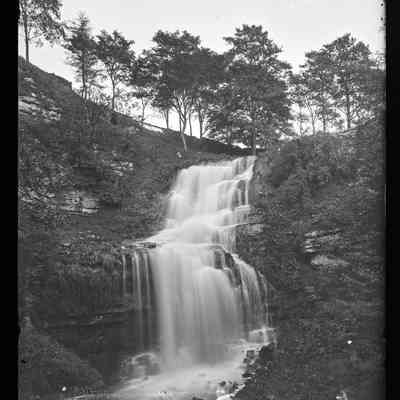 negative, glass plate - Scaleber Foss