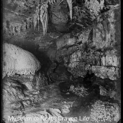 negative, glass plate - Ingleborough Cave (interior) - Mushroom Bed 7 of 11