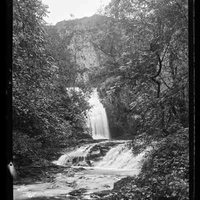 negative, glass plate - Catrigg Force 1 of 2