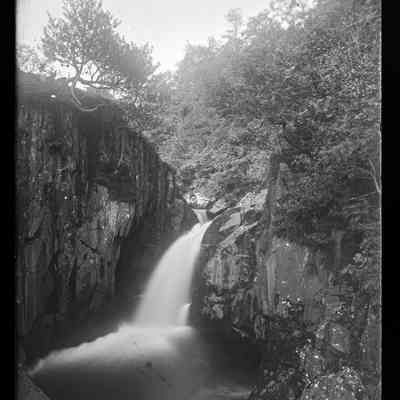 negative, glass plate - Clapham Lake and Falls 3 of 3