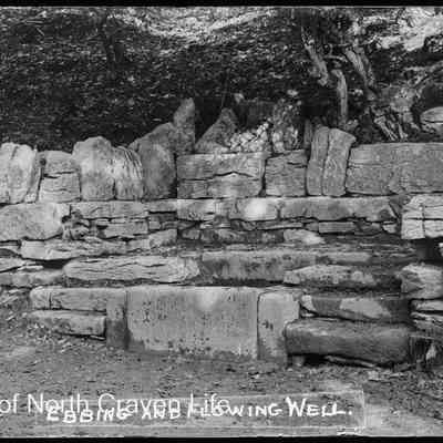 negative, glass plate - Ebbing and Flowing Well 1 of 2