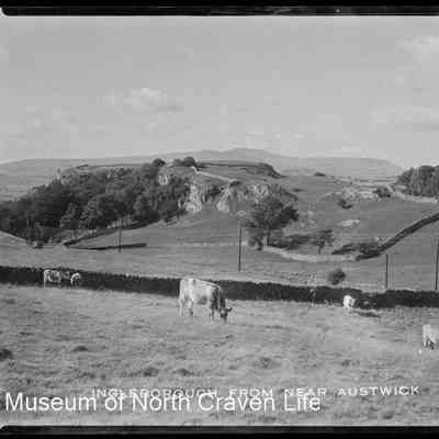 negative, sheet film - Ingleborough from near Austwick