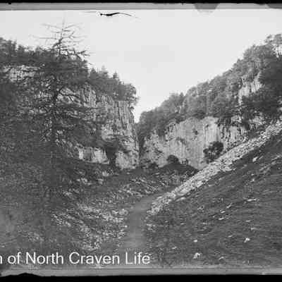 negative, glass plate - Trow Gill, Clapham