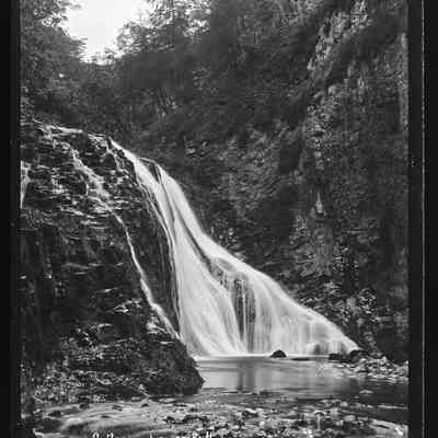 negative, glass plate - Catrigg Force 2 of 2