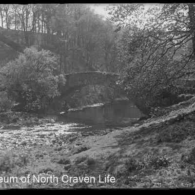 negative, glass plate - Stainforth Bridge