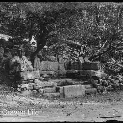negative, glass plate - Ebbing and Flowing Well 2 of 2