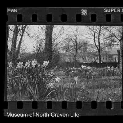 negative, sheet film - Rose Cottage, Giggleswick