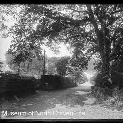 negative, glass plate - Clapham