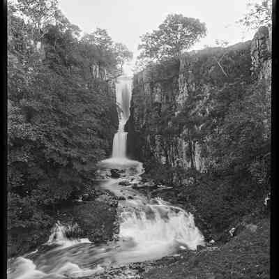 negative, glass plate - Catrigg Force 3 of 4