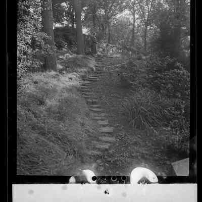 negative, sheet film - The Riddings, Long Preston