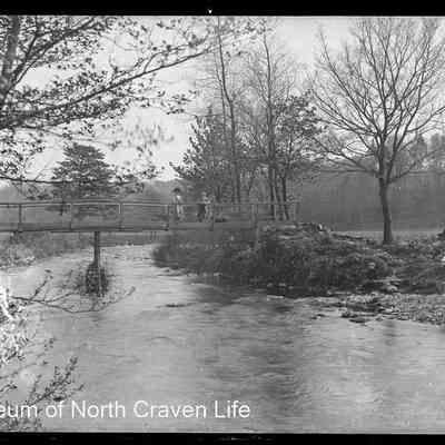 negative, glass plate - Clapham ? Views 2 of 2