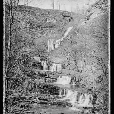 negative, glass plate - Scaleber Force