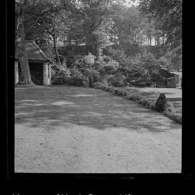 negative, sheet film - The Riddings, Long Preston