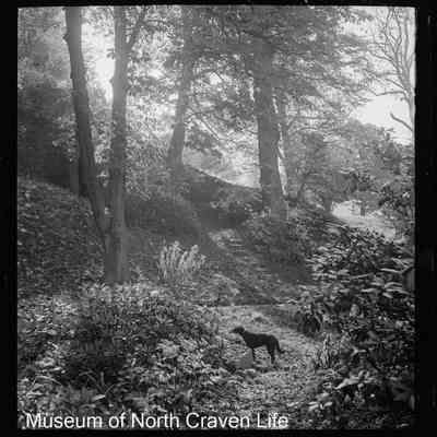negative, sheet film - The Riddings, Long Preston