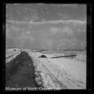 negative, sheet film - Newby Moor (Snow)