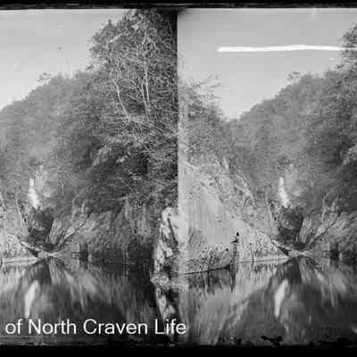 negative, glass plate - Waterfalls (Clapham?) 4 of 4
