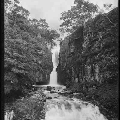 negative, glass plate - Catrigg Force 4 of 4