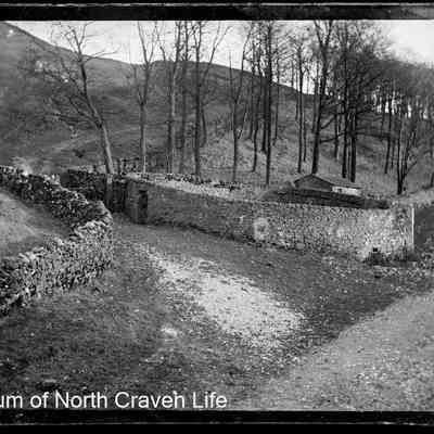 negative, glass plate - Country lane