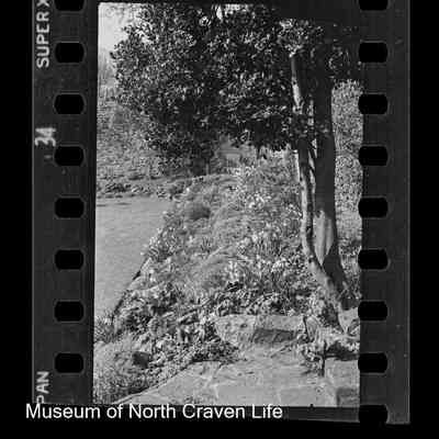 negative, sheet film - Rose Cottage, Giggleswick