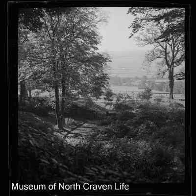 negative, sheet film - The Riddings, Long Preston