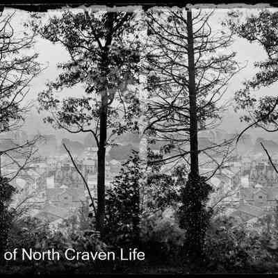 negative, glass plate - Settle from Castleberg