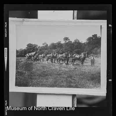 negative, sheet film - Fawcett Men Bank 2 of 2