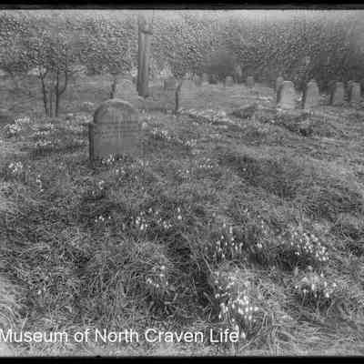 negative, glass plate - Quaker ? gravestones