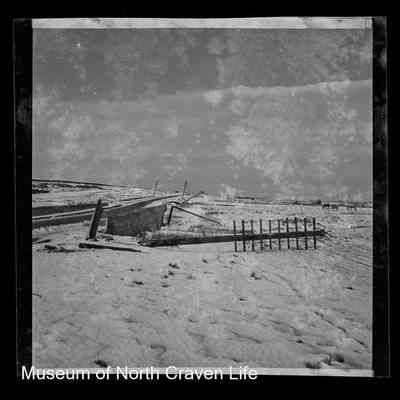 negative, sheet film - Newby Moor (Snow)