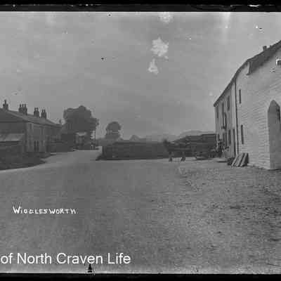 negative, glass plate - Wigglesworth