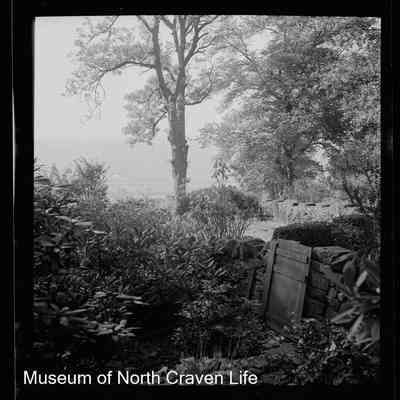 negative, sheet film - The Riddings, Long Preston