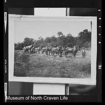 negative, sheet film - Fawcett Men Bank 1 of 2