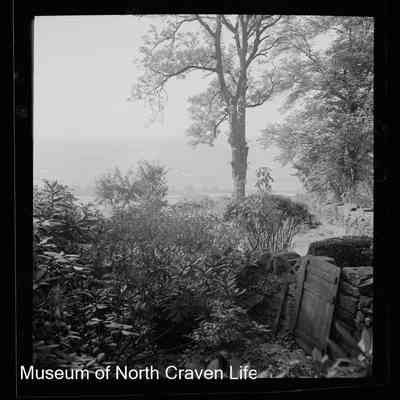 negative, sheet film - The Riddings, Long Preston